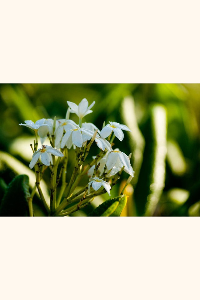 Slider__dsc2402
