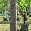 Thumb_img_6616